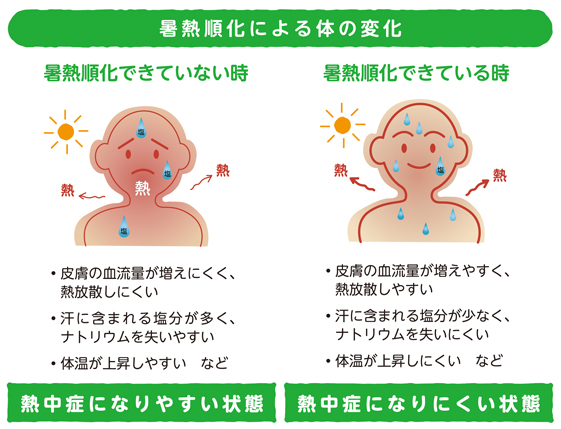 暑熱順化とは