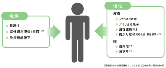 外線による健康への影響は？