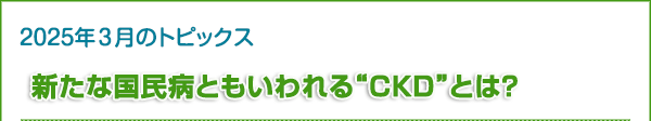 新たな国民病ともいわれる“CKD”とは？