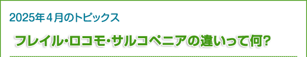 フレイル・ロコモ・サルコペニアの違いって何？