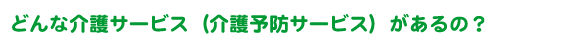 どんな介護サービス（介護予防サービス）があるの？