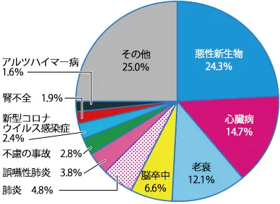 グラフ：日本人の死因